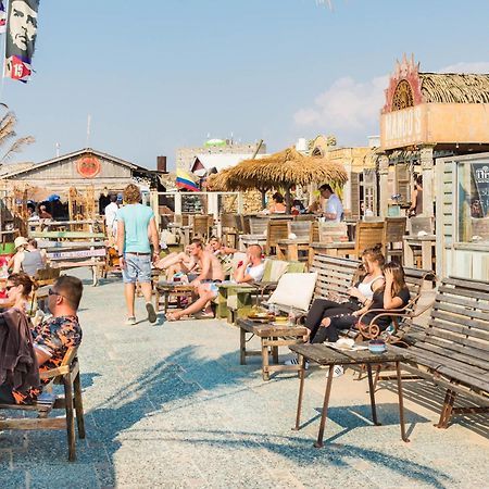 Apartament Oasis Escape Zandvoort Zewnętrze zdjęcie