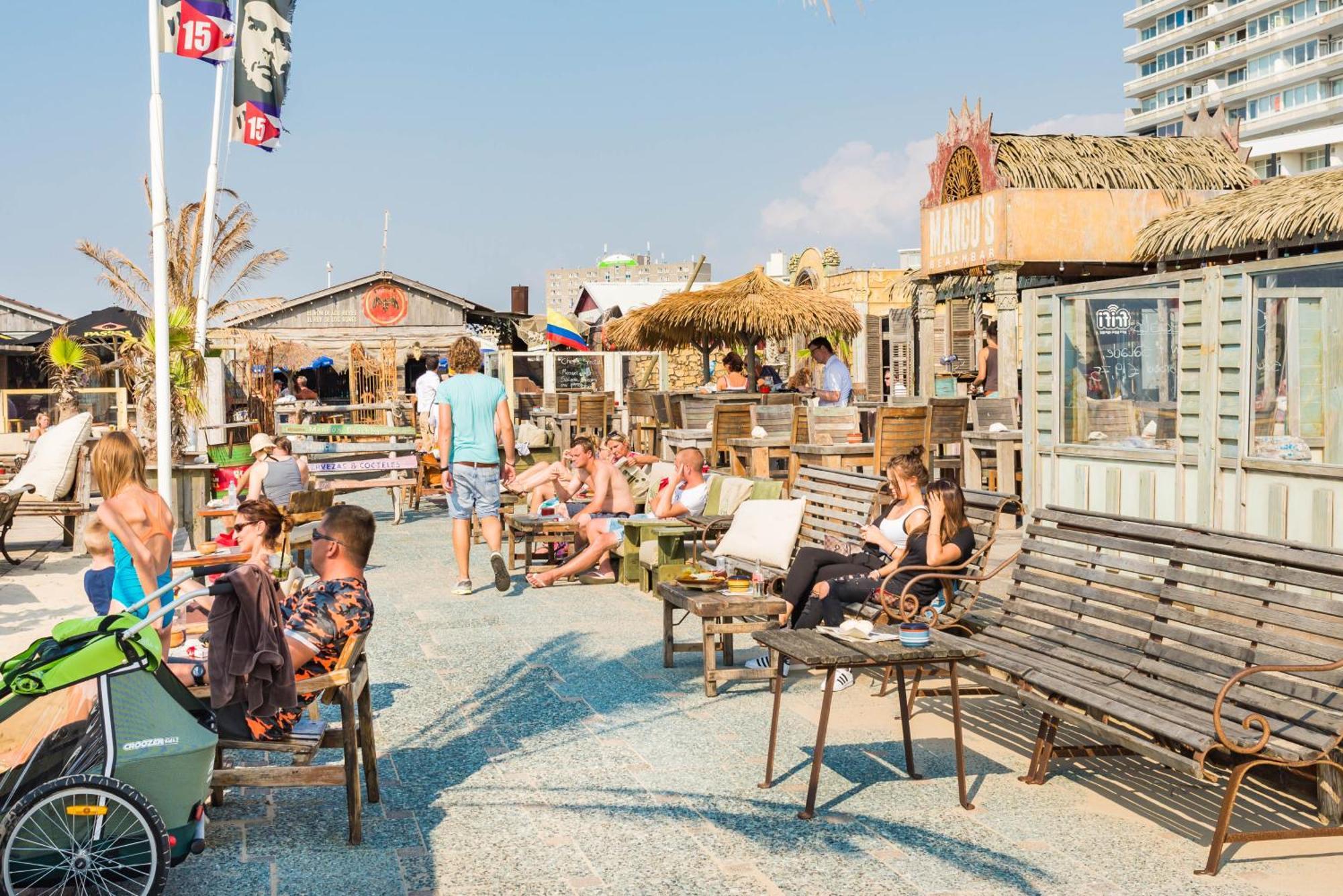Apartament Oasis Escape Zandvoort Zewnętrze zdjęcie