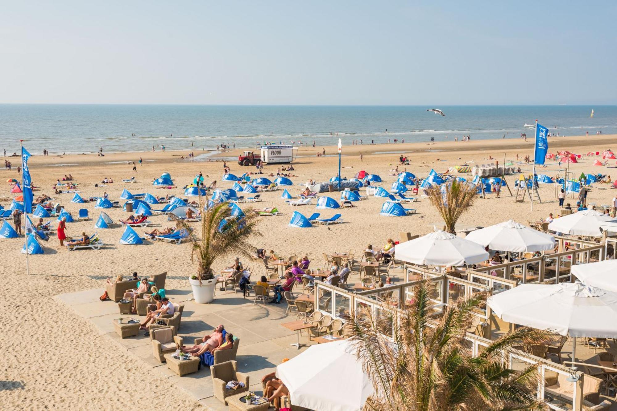 Apartament Oasis Escape Zandvoort Zewnętrze zdjęcie
